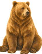 1100rsu2-9f61-145x185.png