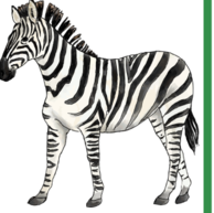 1100rsuc-9359-194x193.png