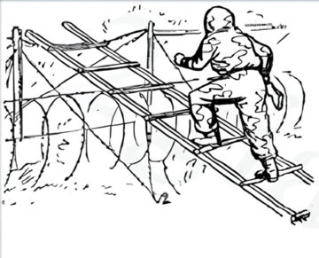 1100rtel-e9a4-360x291.png