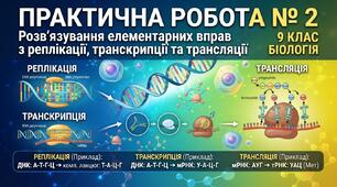 Практична робота № 2. Розв’язування елементарних вправ з молекулярної біології. Біологія, 9 клас (Остапченко). Бланк для друку з відповідями.