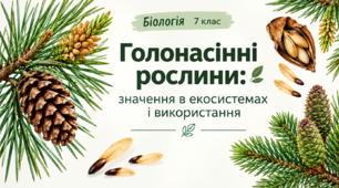 § 12. Голонасінні рослини: значення в екосистемах і використання