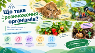 Презентація «Що таке розмноження організмів» | Пізнаємо природу, 6 клас (за підручником Дарії Біди)