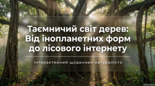 Таємниці дивовижного рослинного світу планети. Про незвичайні види дерев з усього світу