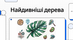 Таємниці дивовижного рослинного світу планети. Про незвичайні види дерев з усього світу